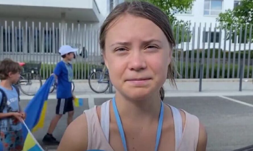 Greta Thunberg burst out laughing when asked about the work of the UN