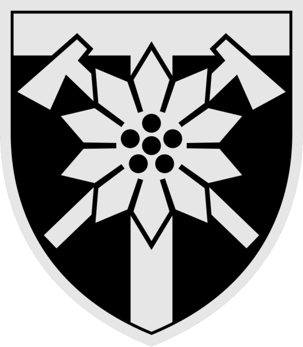 128th Mountain Brigade shoulder sleeve patch
